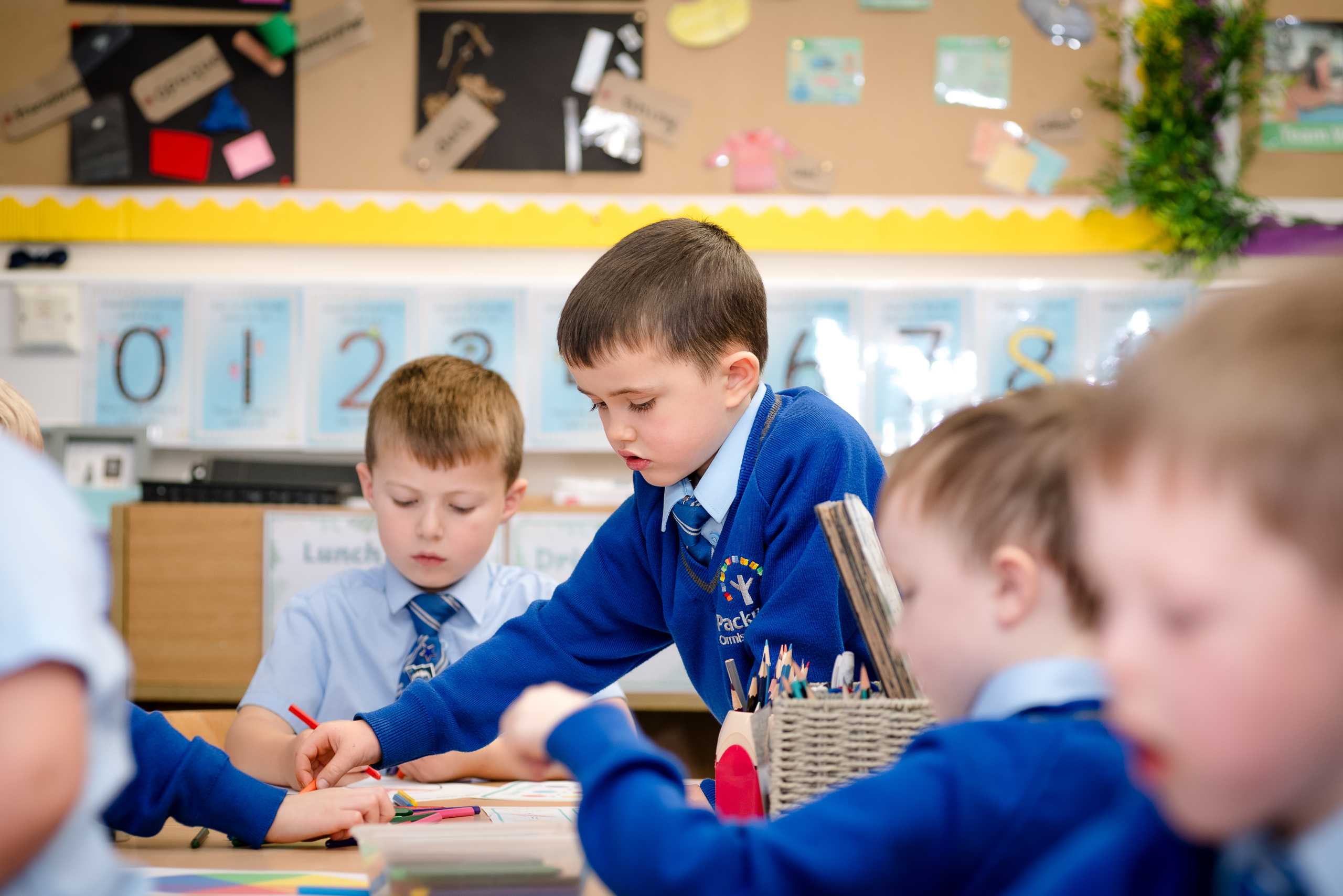 Curriculum Overview